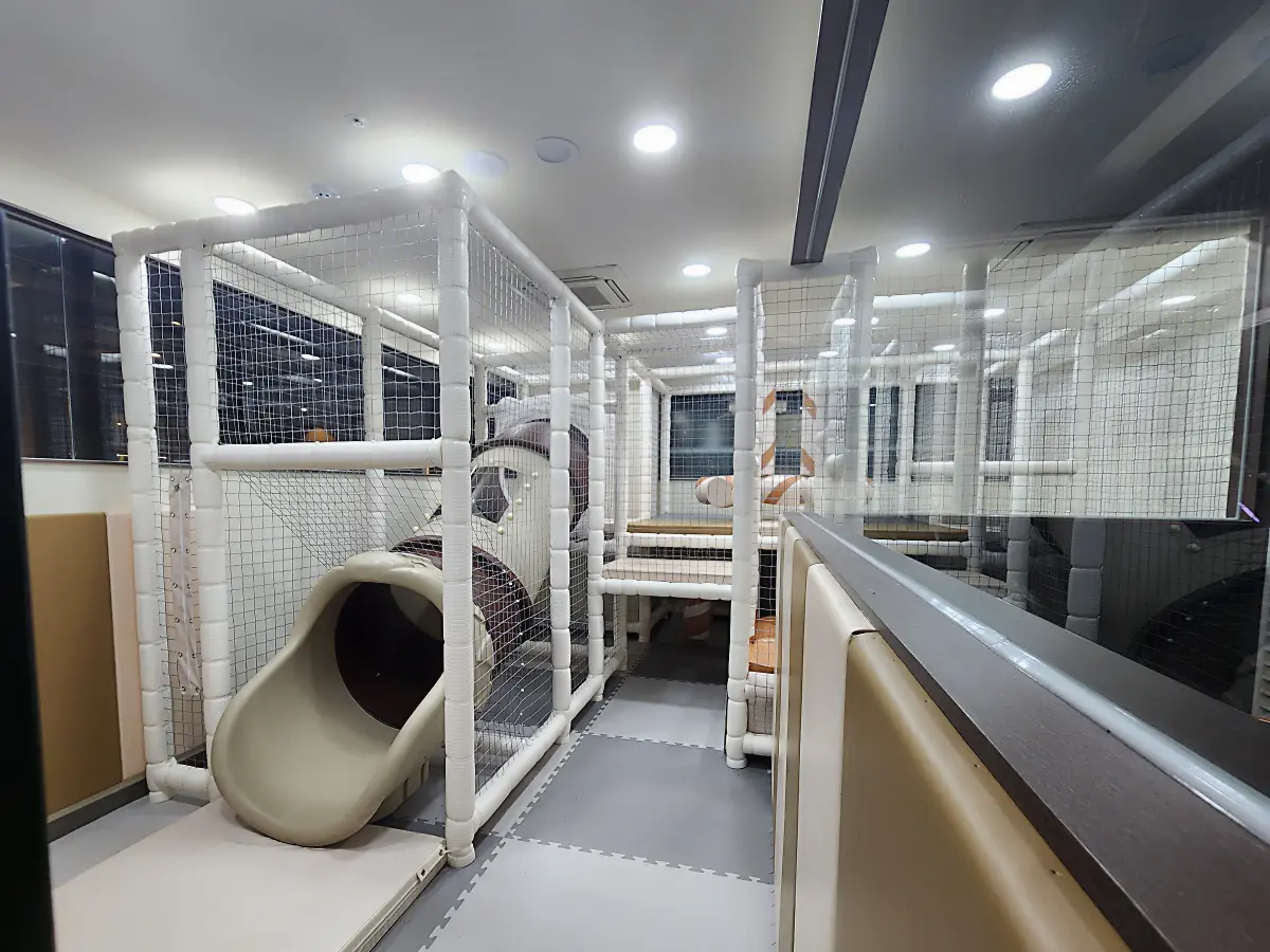 마곡-맛집-고메스퀘어-발산점-아이들을-위한-키즈카페