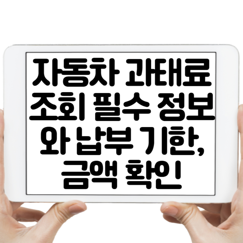 자동차 과태료조회 필수 정보와 납부 기한, 금액 확인하는 법
