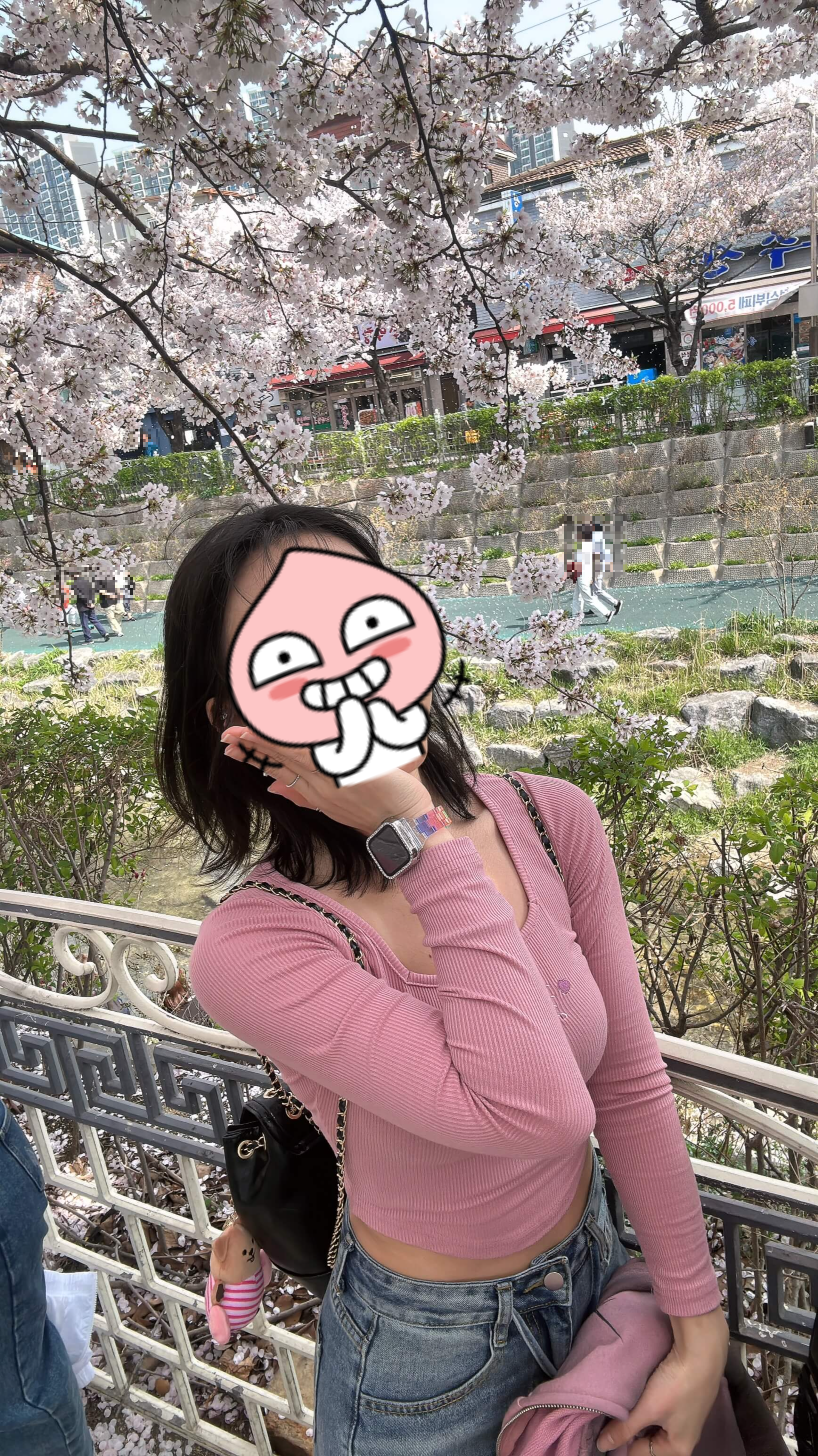 서울시내벚꽃명소 성북천에서 벚꽃놀이