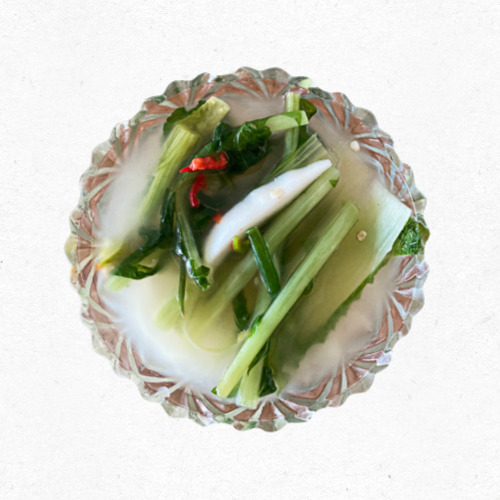 김치냉장고에 보관 중인 김치