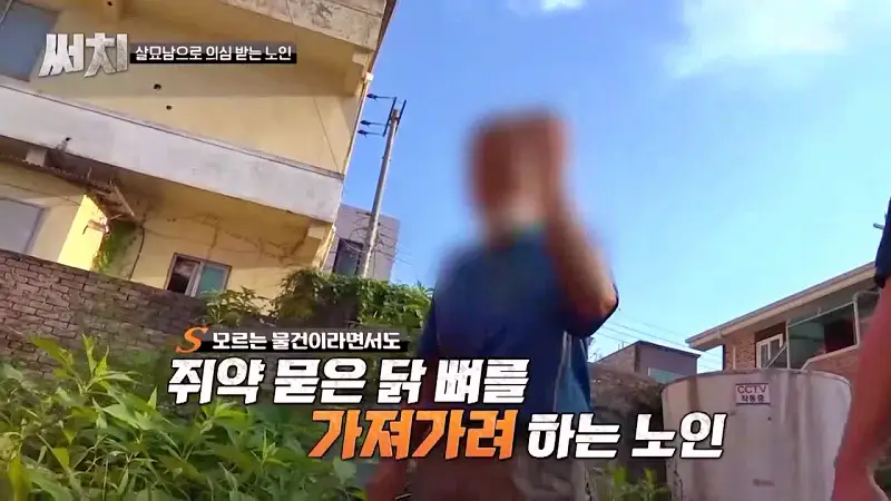 써치 8년간 천여마리 죽인 대전 신탄진 고양이 살해남의 정체