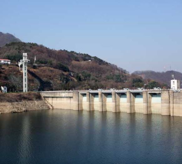 충주 벚꽃