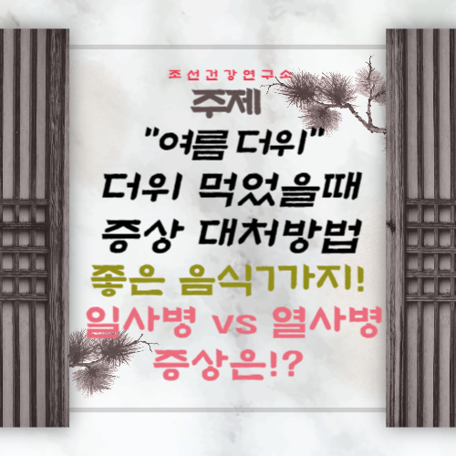 더위먹었을때 증상 좋은음식 자가진단 일사병 열사병 더위 먹은 증상