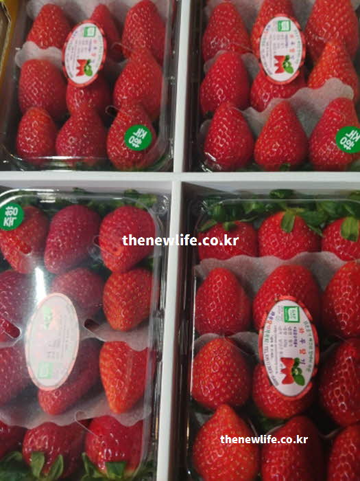 딸기 효능 섭취 방법 유제품