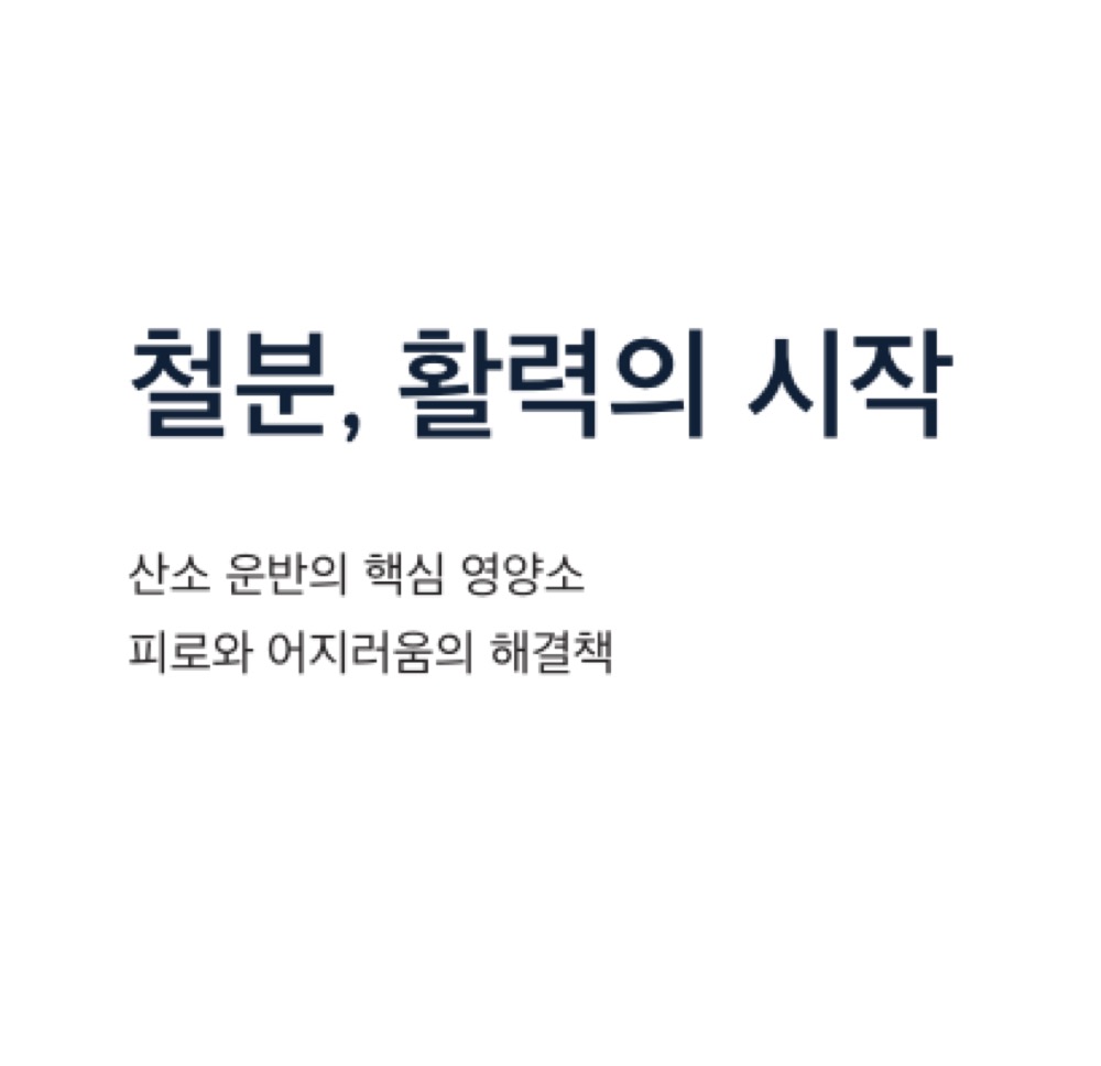 철분 활력의 시작