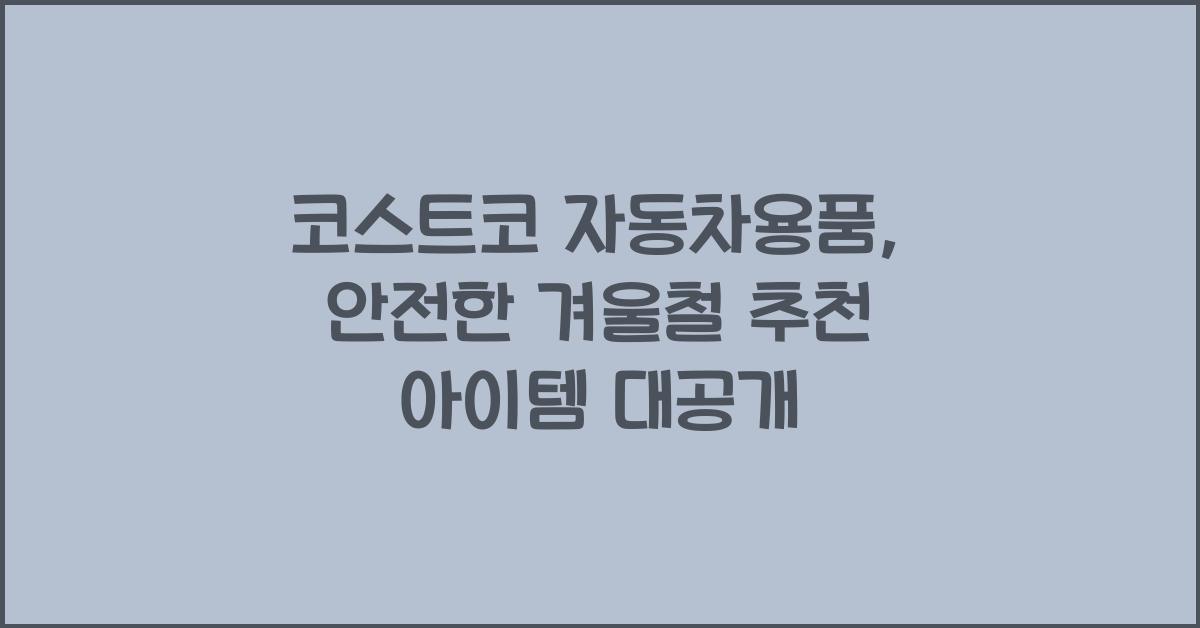 코스트코 자동차용품