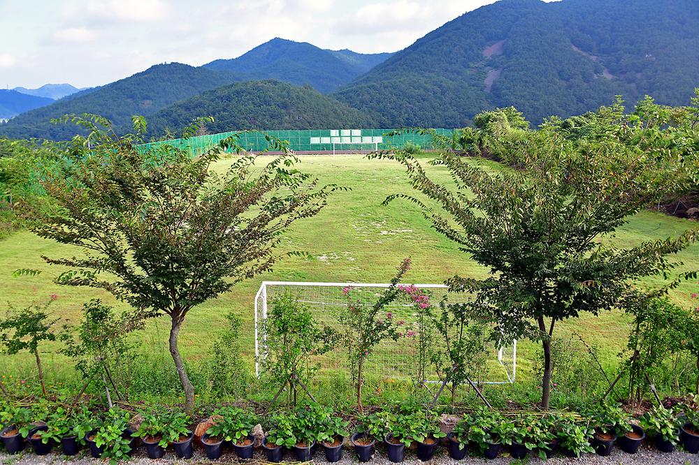 전남 워렉스캠핑랜드 (워렉스야영장) 소개