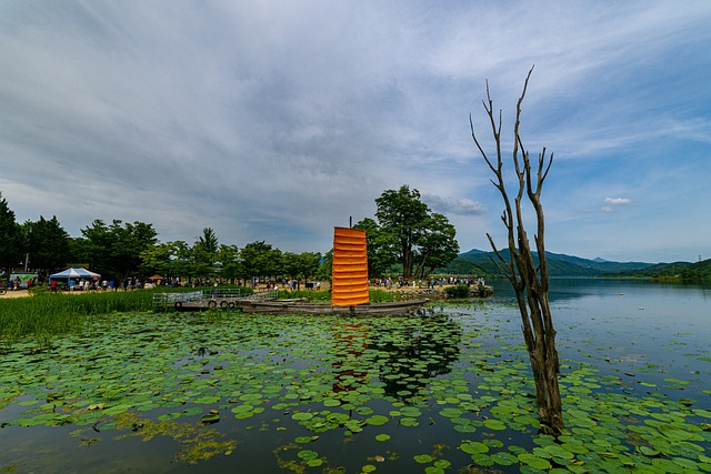 img src="springtime_couple_seoul_Dumulmeori_travel.jpg"alt="커플 서울 근교 두물머리 봄 여행"