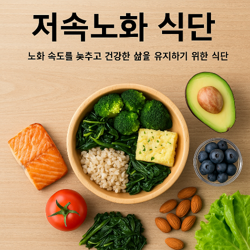 저속노화식단