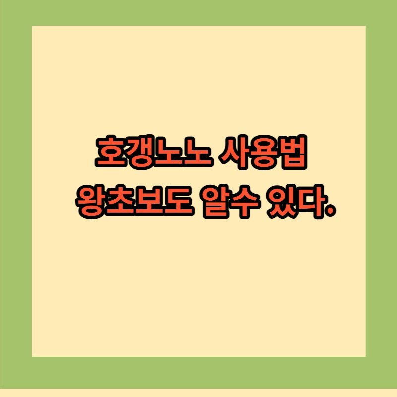 호갱 노노 사용법