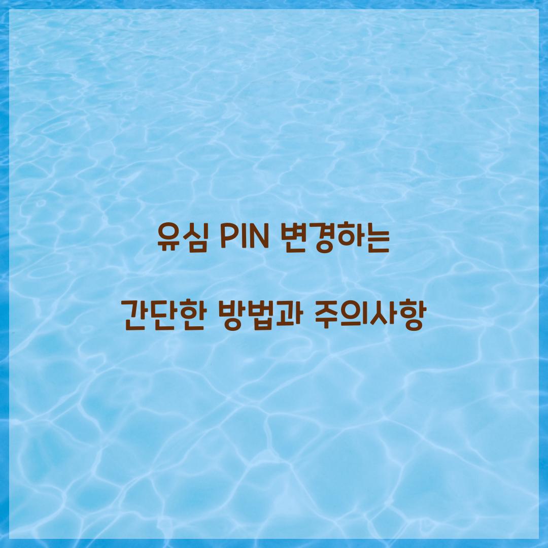 유심 PIN 변경
