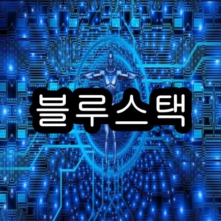 블루스택 어몽어스 pc