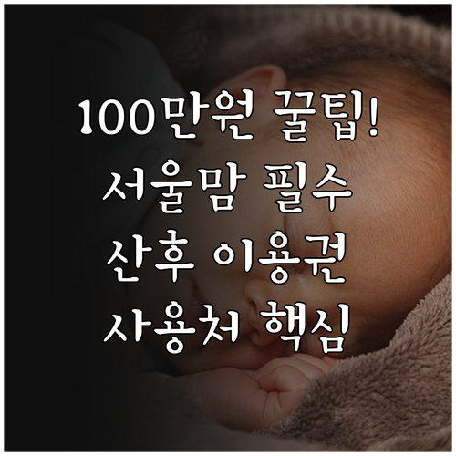 2025 서울시 100만원 산후조리 ..