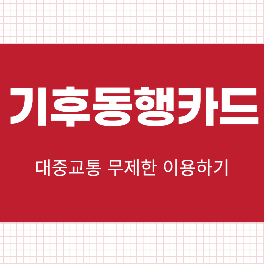 기후동행카드