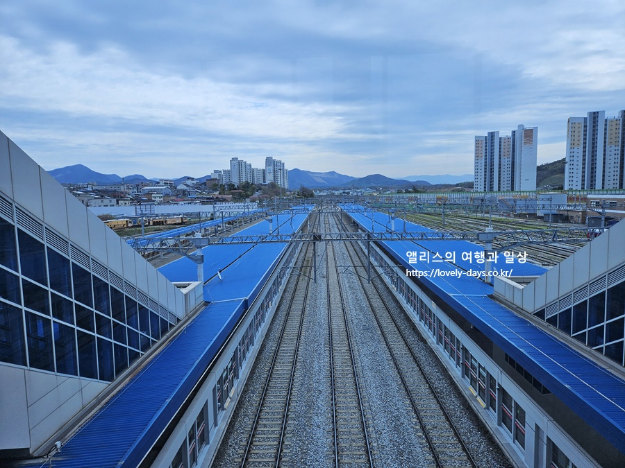 청량리 부전역 ktx 노선도 정차역 시간표 가격 실제 탑승 후기