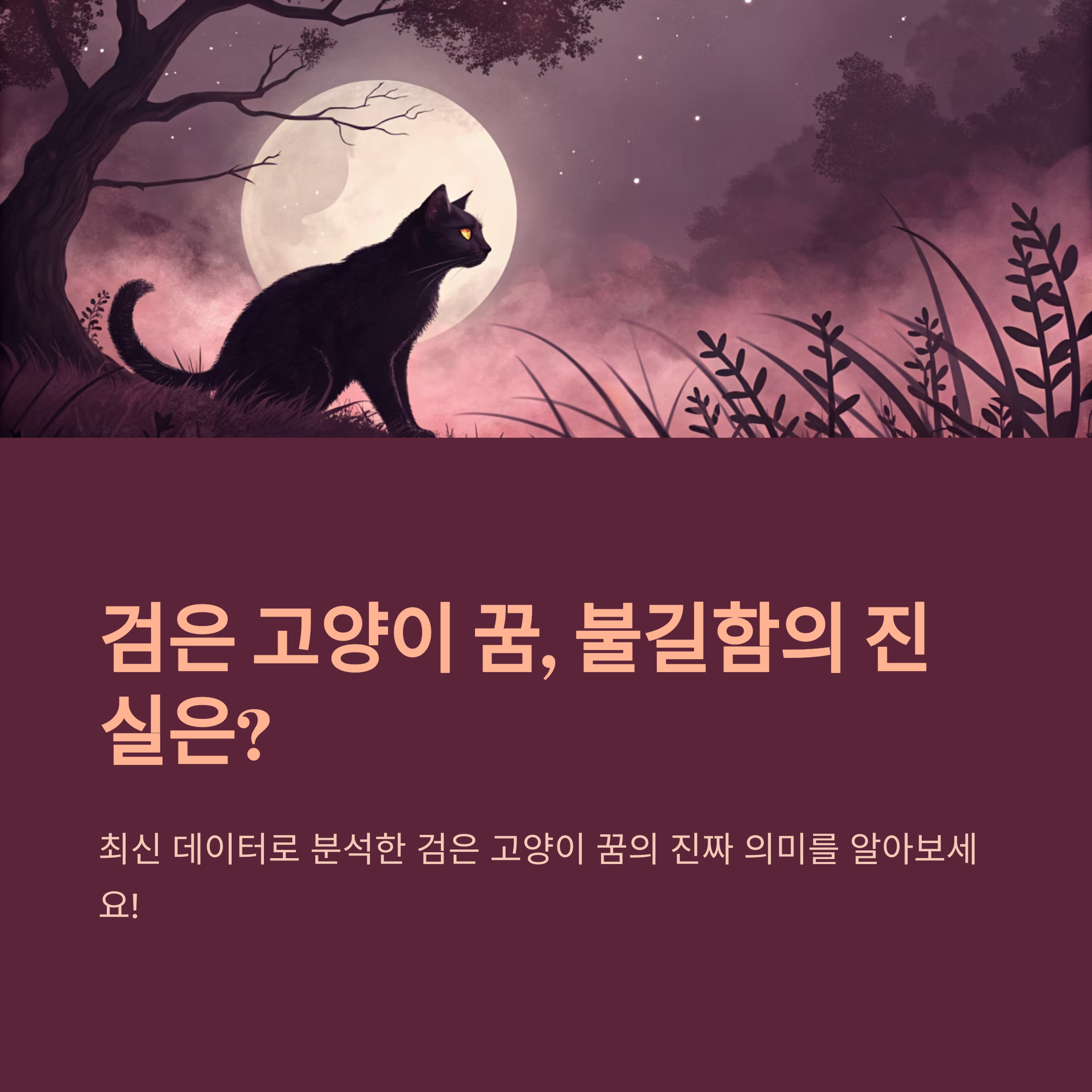 검은 고양이 꿈 해몽