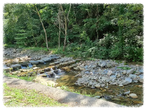 망경대산자연휴양림