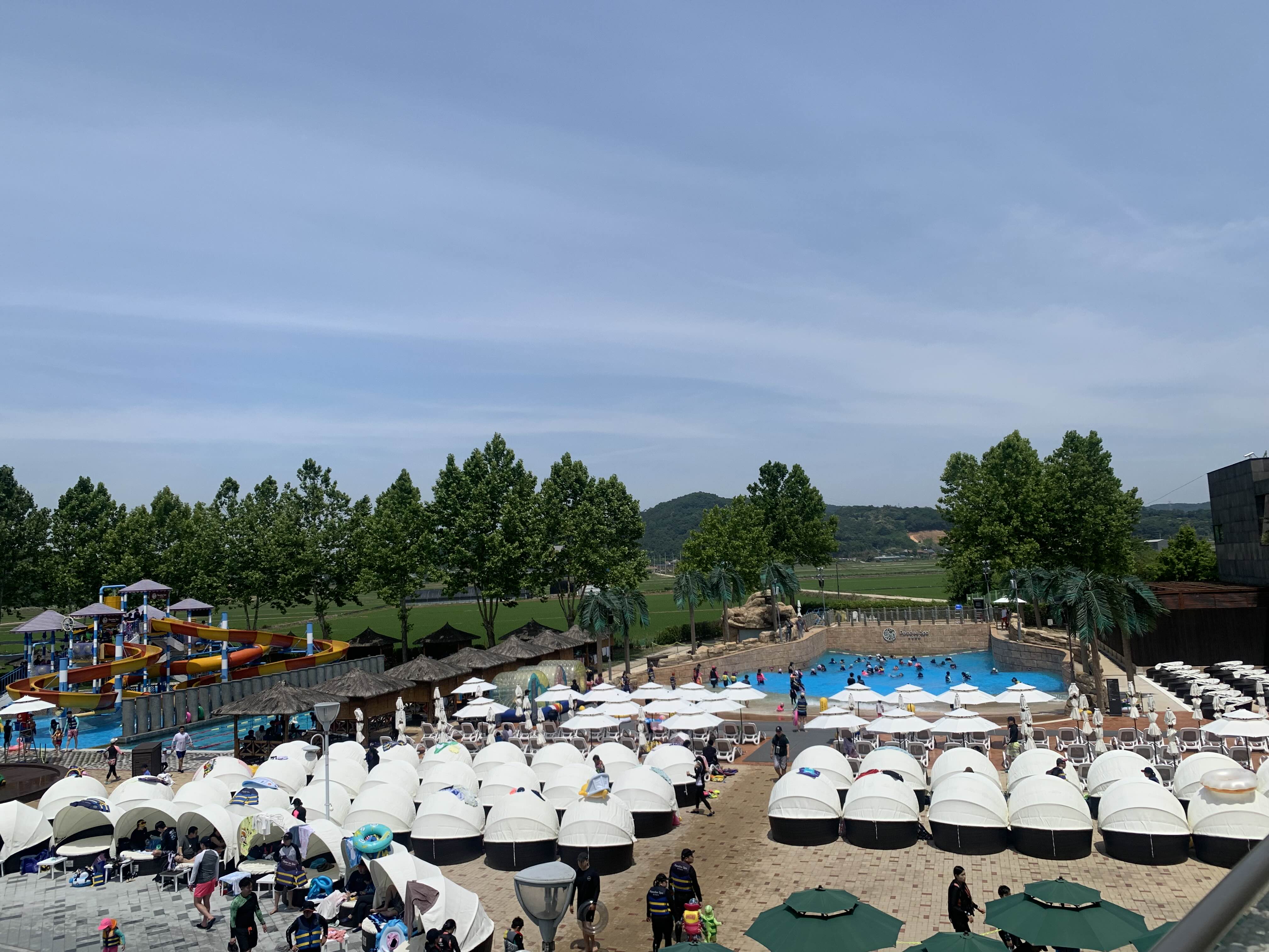 도고 파라다이스 파도풀