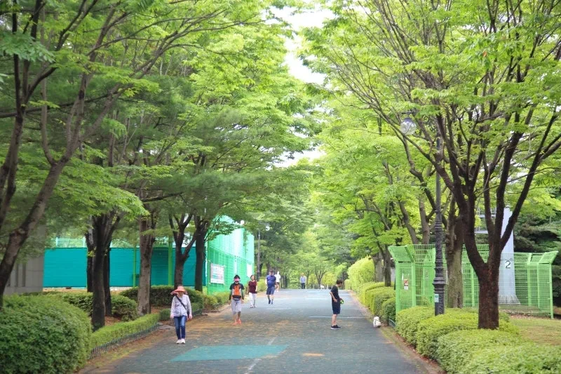 고양시 반려견 겨울 나들이 명소, 강아지와 함께 걷기 좋은 산책 코스
