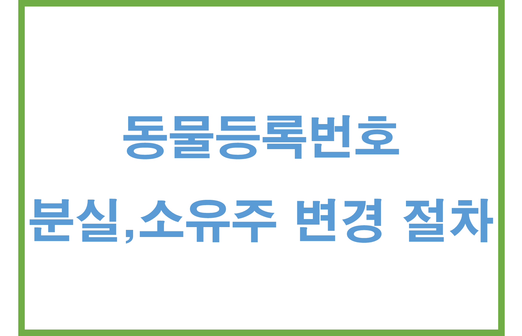 동물등록번호 분실했을 때 대처법과 소유주 변경 절차 총정리