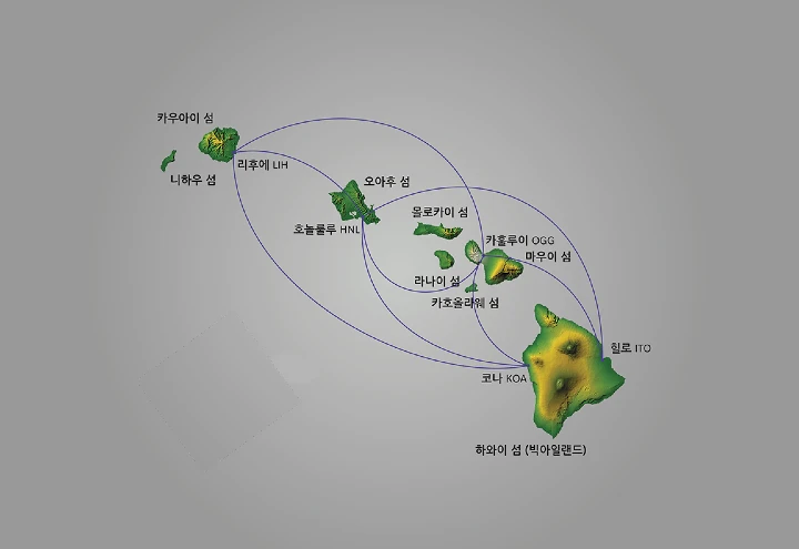 하와이 여행 불