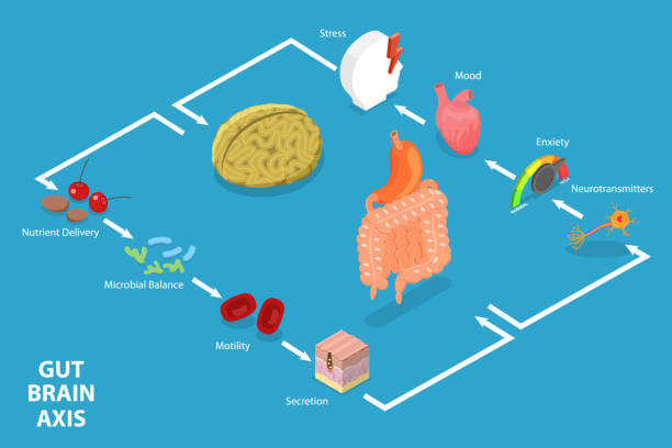 위 건강 영양제!!!위 건강을 위한 영양제 추천 Best.5 위 건강에 좋은 영양제 추천!!