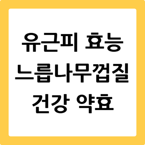 유근피 효능