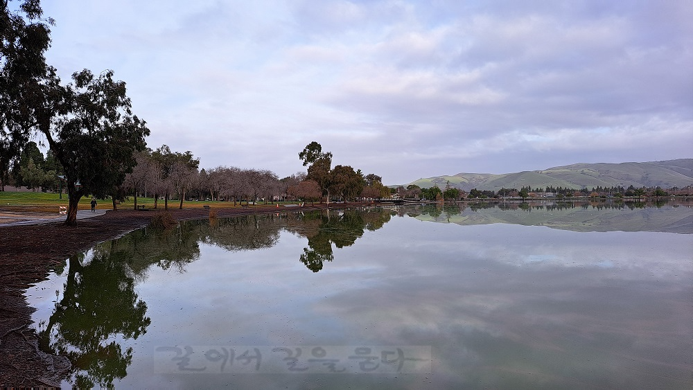 Central Park