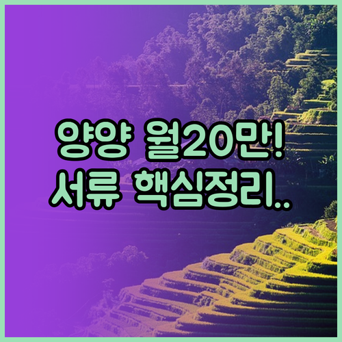 2026 양양군 청년월세지원 월 20..