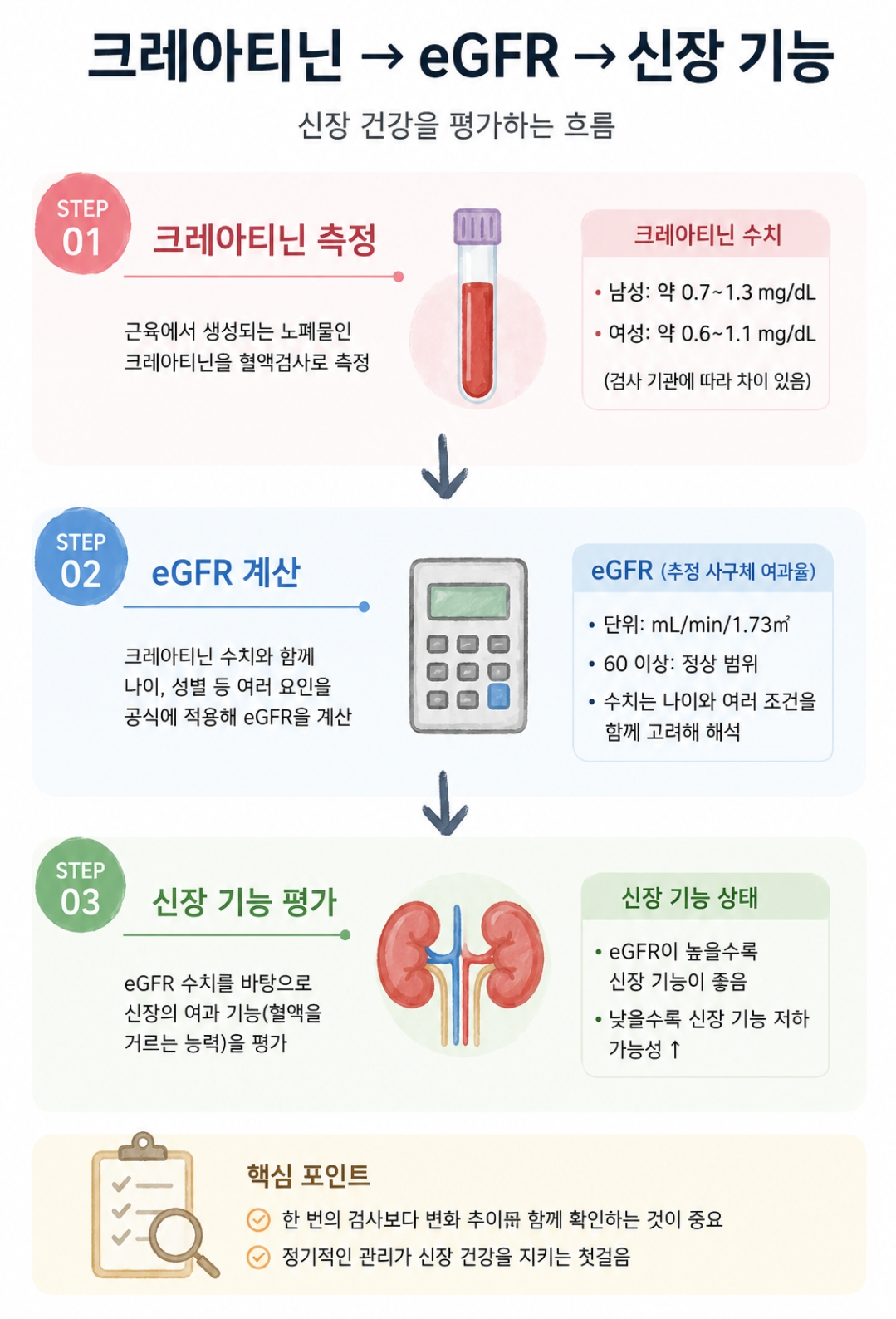 신장건강흐름