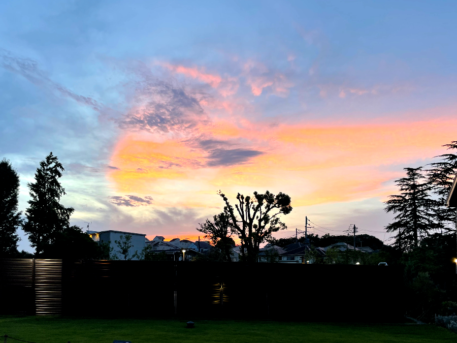 일본 도쿄 3박4일 다시 가고싶은 여행 및 맛집 총정리 21 - 워너 브라더스 해리포터 스튜디오 (백롯, 버터비어 바)