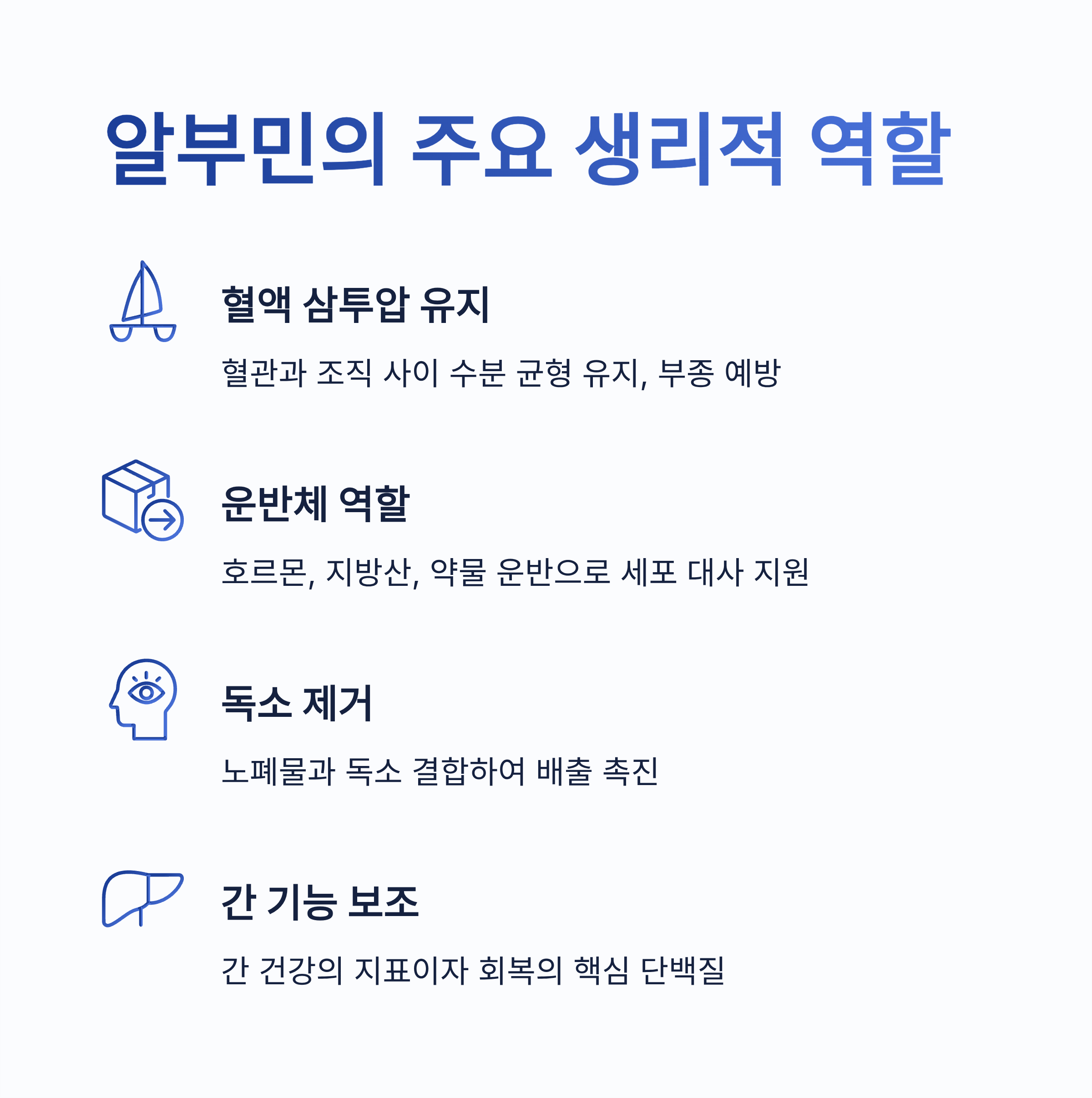 알부민의 효능 7가지|면역력·부종 개선·간 기능 회복까지, 건강의 핵심 단백질