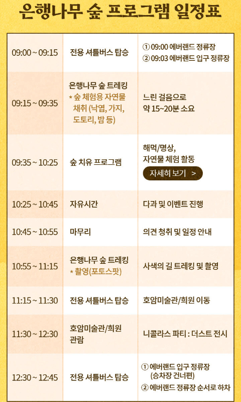 2024 에버랜드 비밀의 은행나무 숲 스마트 예약방법 프로그램 일정표 셔틀버스노선표 보기