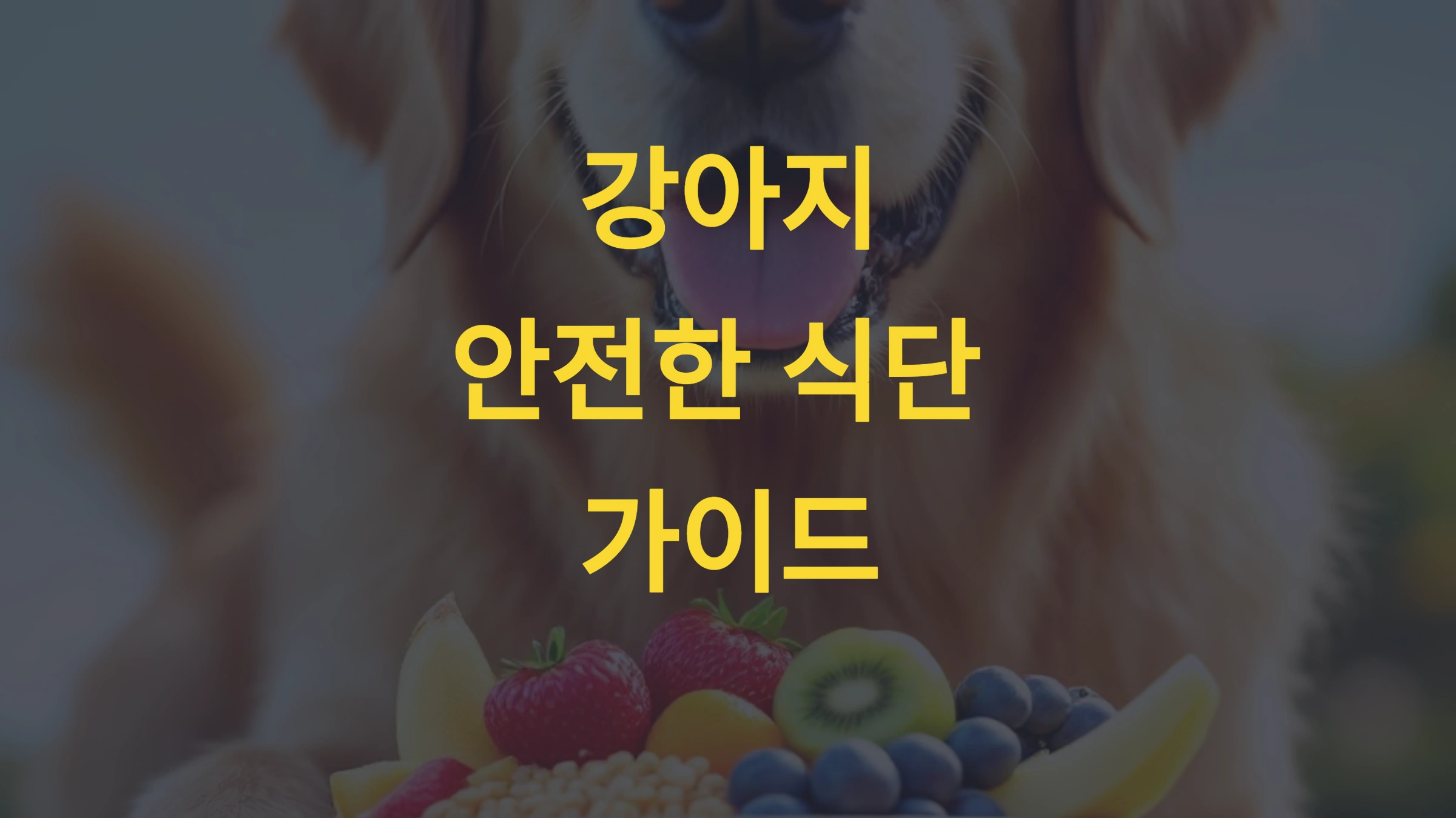 강아지가 먹어도 되는 음식과 주의할 음식