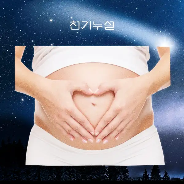 임신하는 꿈 해몽