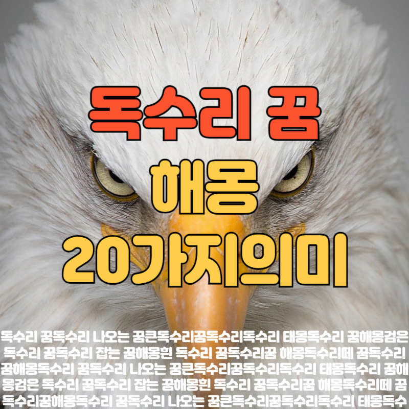 독수리꿈, 독수리꿈 해몽,독수리 나오는 꿈,큰독수리꿈,독수리독수리 태몽,독수리 꿈해몽,검은 독수리 꿈,독수리 잡는 꿈해몽,흰 독수리 꿈,독수리꿈 해몽,독수리떼 꿈,독수리꿈해몽