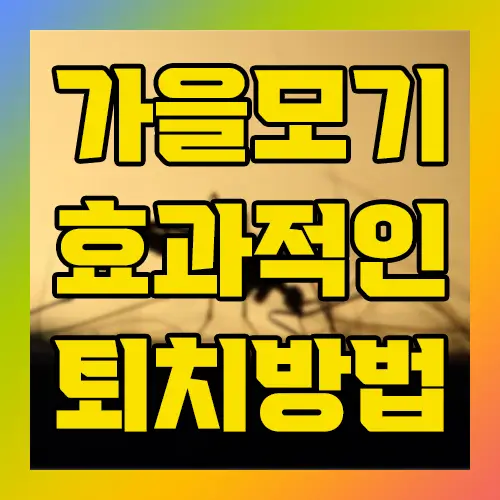 가을모기 효과적인 퇴치방법