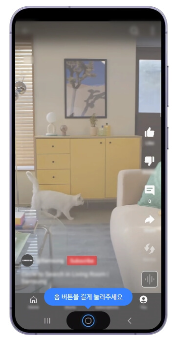 액자 아래 지나가는 고양이
