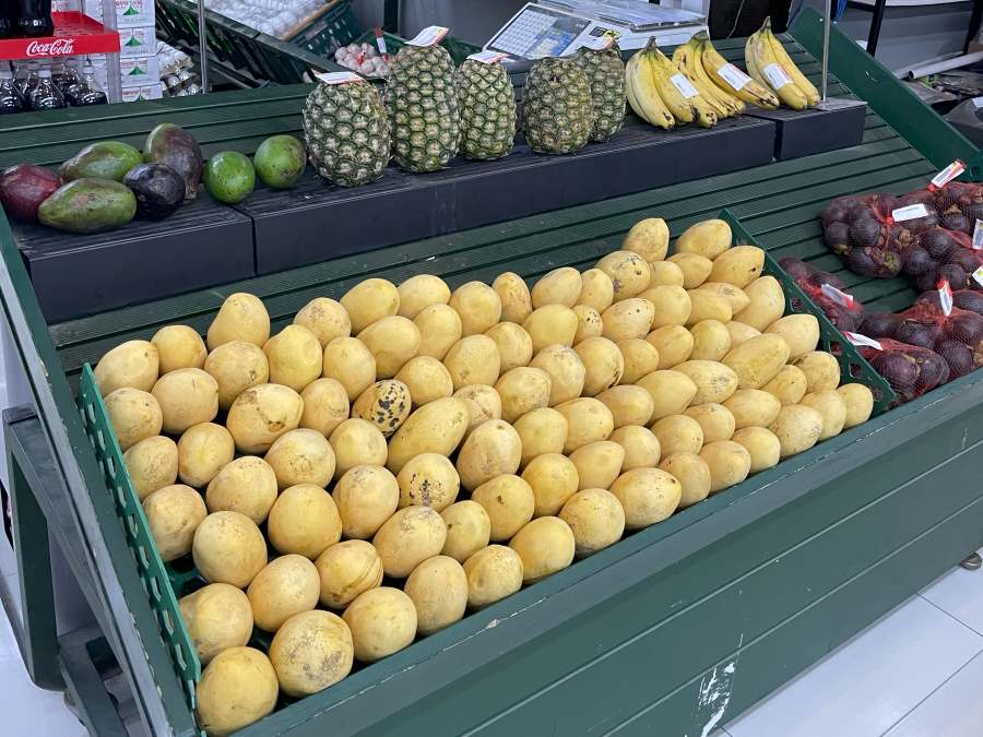 세부-마트-망고