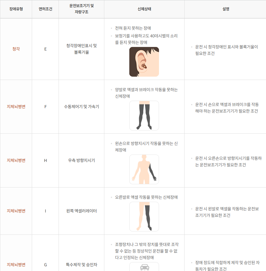 장애인 운전 지원