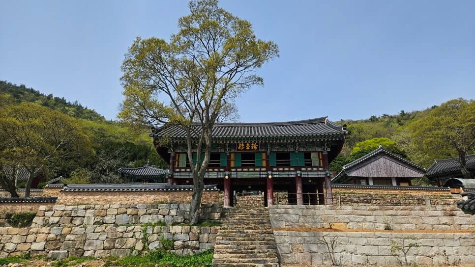 해남 서동사 : 보물 대웅전과 동백 숲이 건네는 천년의 위로