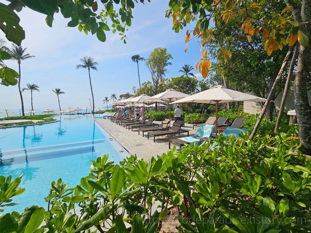 호텔 수영장 사진