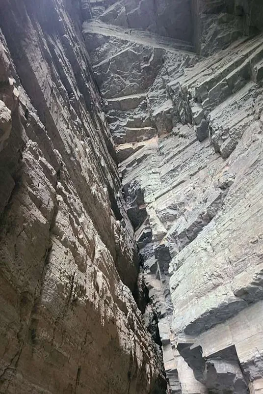 고성공룡박물관