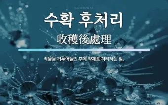 수확 후 처리 세척 건조 예냉 저장 온도 습도 관리_2