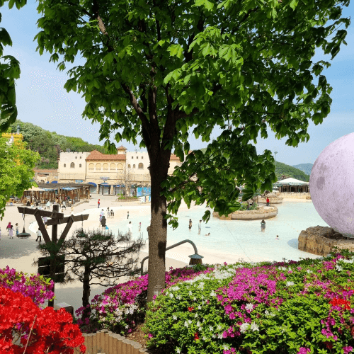 캐리비안베이 무료 개방 마르카리베