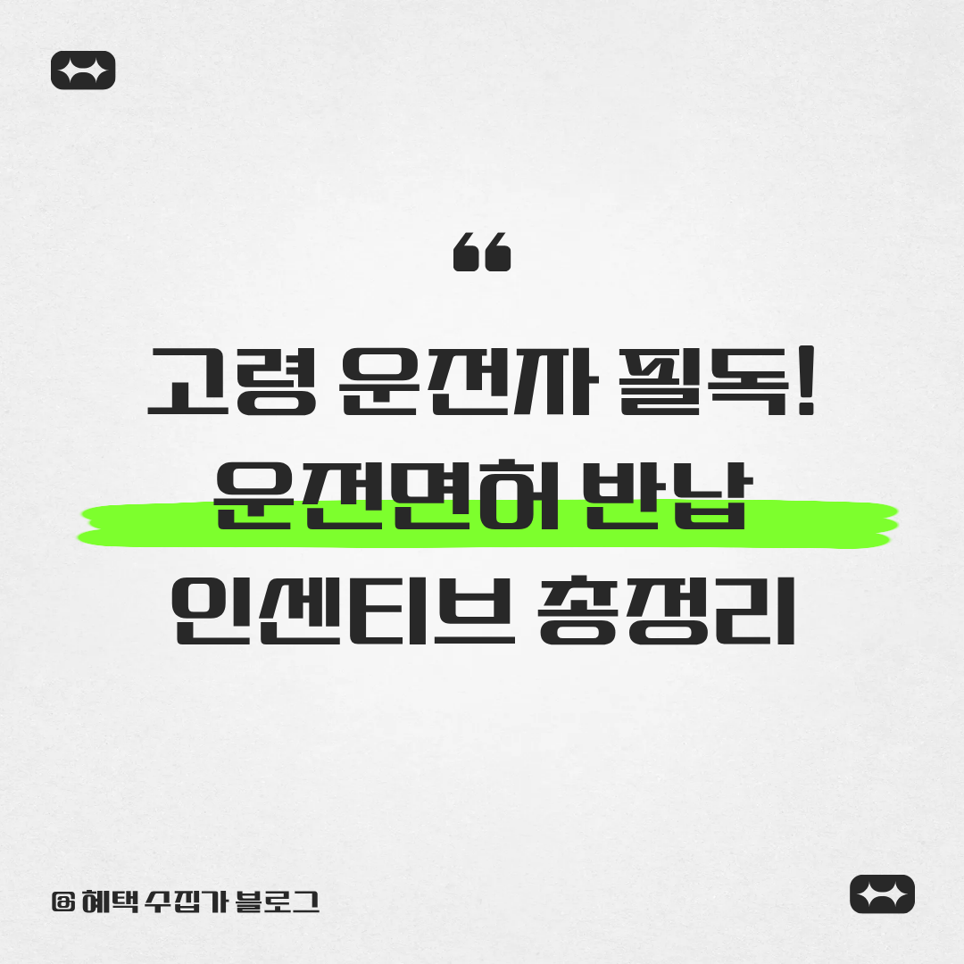 고령운전자 운전면허 반납 인센티브