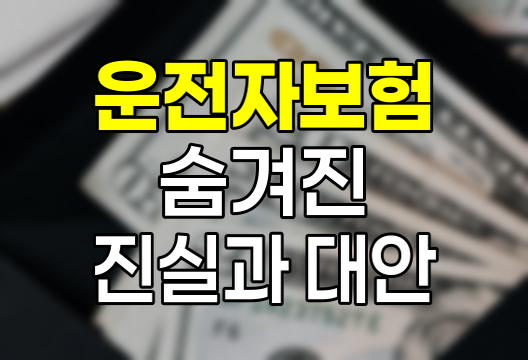 운전자보험의 숨겨진 진실과 대안