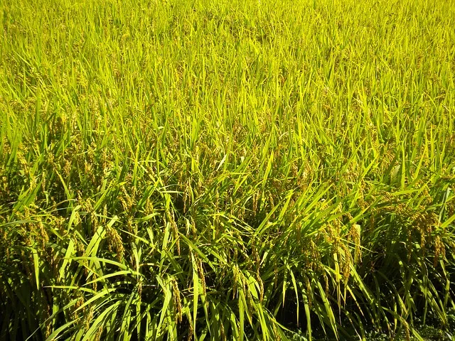 가평 가볼만한곳 베스트10 여행 놀거리 맛집_3