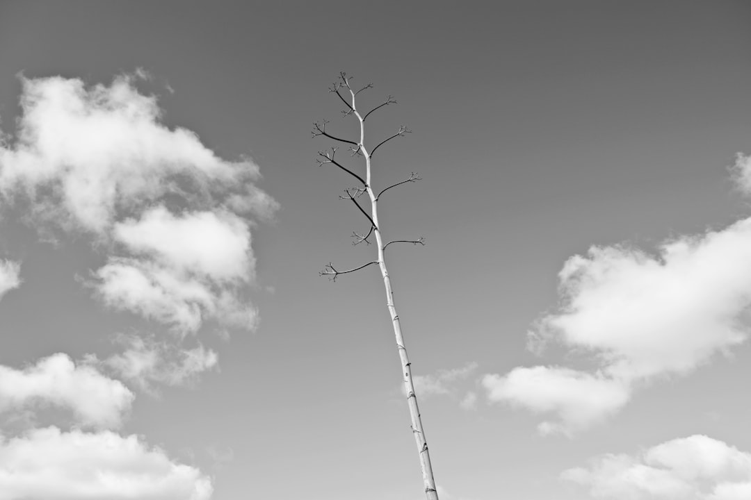 Load Balancing