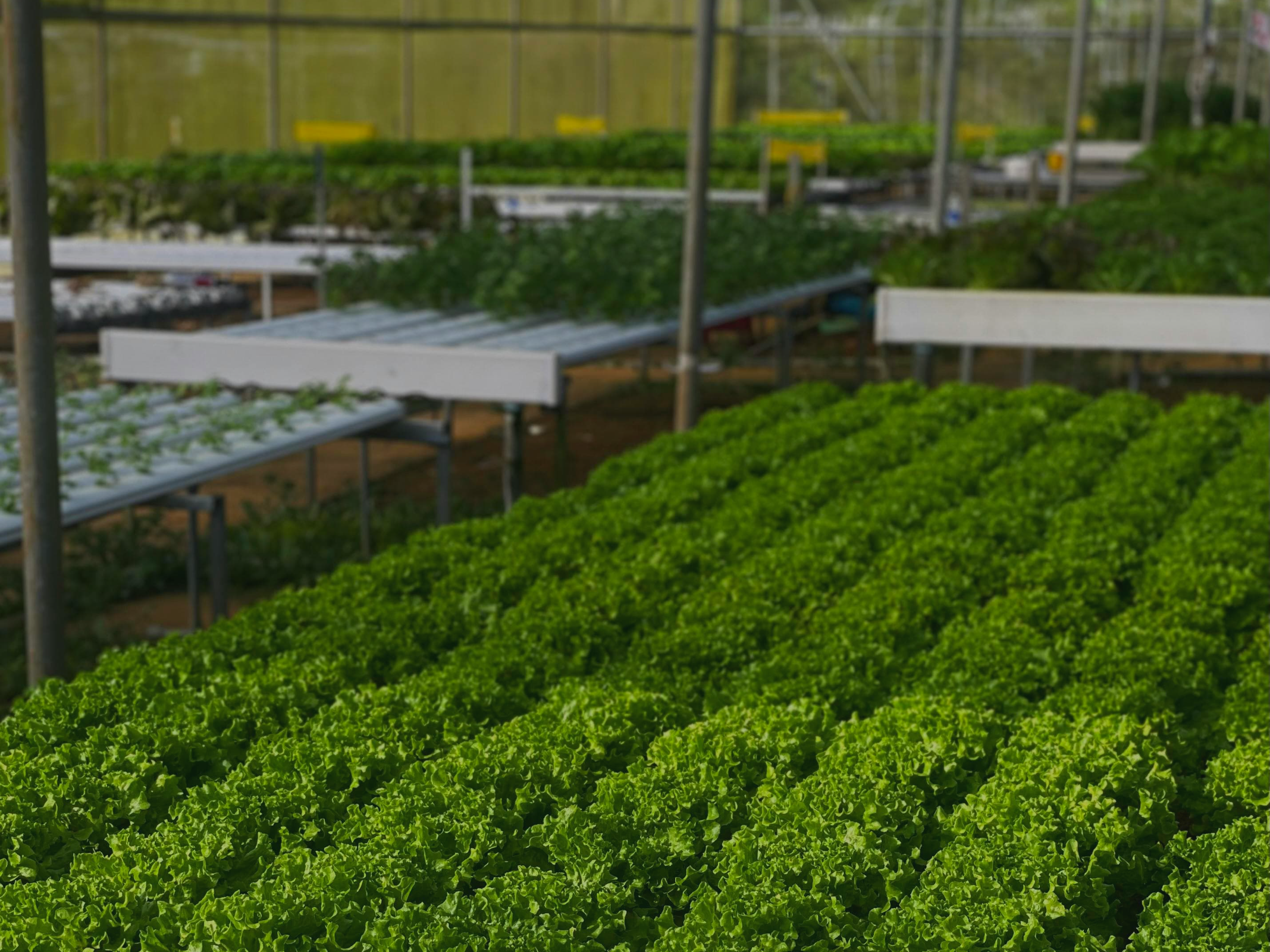스마트팜 도입 시 가장 많이 실패하는 이유